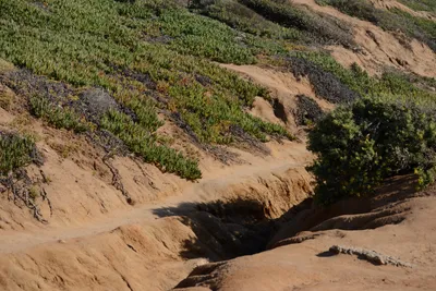 DSC_6922 (Large).JPG